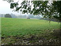 Farmland near Upper Monksfields