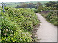 National Cycle Route 20, north of Brighton