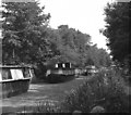 Houseboats on the Basingstoke Canal