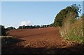 Field near Kennford