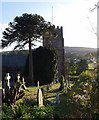 Churchyard, Kenn