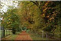 Autumn at Rabbit Hill, Ballymena