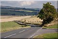 Road  to Auchmuirbridge