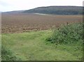 Arable land below Shalcombe Down