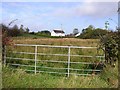 Ballynian Townland