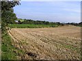 Ballynian Townland