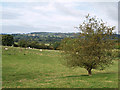 Farmland near Cleaves House