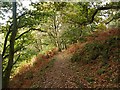 SE5083 : Footpath through Garbutt Wood by Stephen McCulloch
