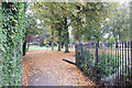 Autumn Leaves, Miners Welfare Park, Bedworth