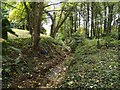 The Lisnamallard Burn, Omagh