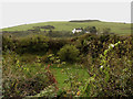 Across the valley of the Auchenmalg Burn