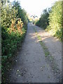 Track near Foulmead Farm, Hacklinge