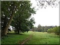 Footpath towards Canons Wood