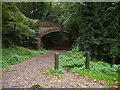 Bridge over disused Didcot Railway