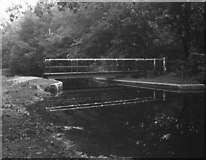 SU7951 : Zeben Copse Swing Bridge, Basingstoke Canal by Dr Neil Clifton