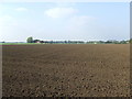 New ploughed field