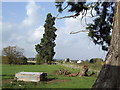 Redwood at Eyton Hall