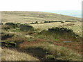 Moorland walls near Crowthorn Delf