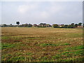 Arable land near East Preston