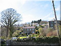 Houses above Cadnant Road