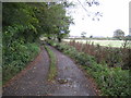 Track to Holly Bank Farm