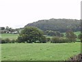 Looking towards Castle Hill Farm