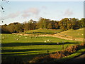 Farmland seen from the Knockvennie to Corsock road.