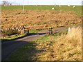 Cattle grid on the road from Corsock Bridge to Glaisters