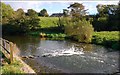 Weir, River Lagan near Lisburn