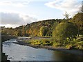 River Teviot