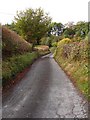 Lower Gwestydd Lane