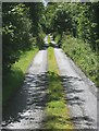 N2207 : Quiet lane near Cadamstown by Hugh Chevallier
