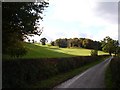 Pasture and woodland