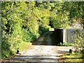 Track past Longmead, Milborne St Andrew