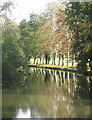 Quiet stream with reflections, near Stowmarket golf course