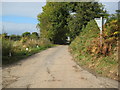 Coppice Lane near Steel Heath