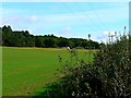 Tolpuddle Ball, near Tolpuddle, Dorset