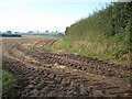 Farmland south east of Moreton Say