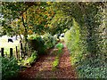 Bridleway to Ashley Barn, near Tolpuddle