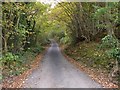 Minor road near Graig-wen