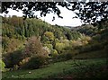 Inny valley at Trefrize Mill