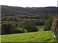 Lynher valley at Middlewood