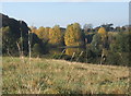 Crossing fields towards Alton Water