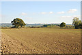 Field on Ham Common