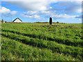 Windhill standing stone