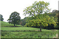 Grazing Land, Denford, Staffordshire