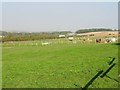 Paddocks close to the A256, Tilmanstone