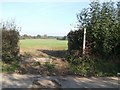 Footpath across a sown field, Ranton