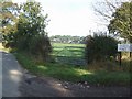 Dairy pasture, Plardiwick Manor Farm