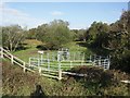 Cattle Pens at Purewell Meadows